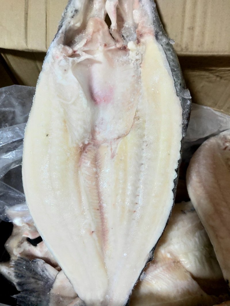 巴沙鱼2斤一条大巴沙鱼20斤一件
