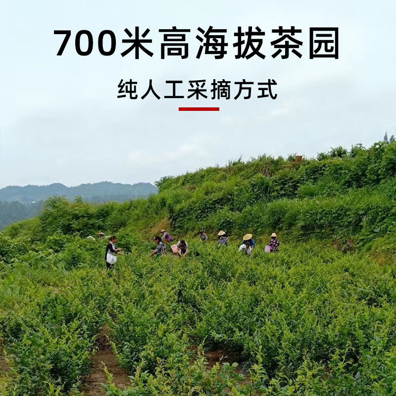 2020年新茶恩施富硒长寿茶藤茶正品特级天尖