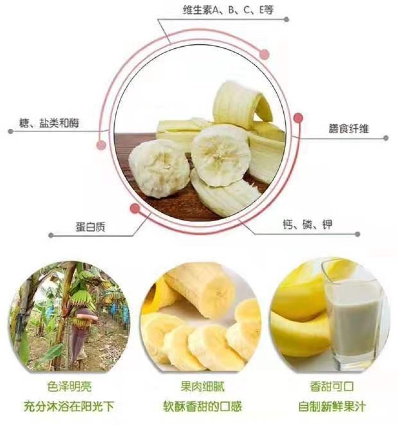 【产地直销】广西新鲜香蕉，无催熟剂，安全更健康