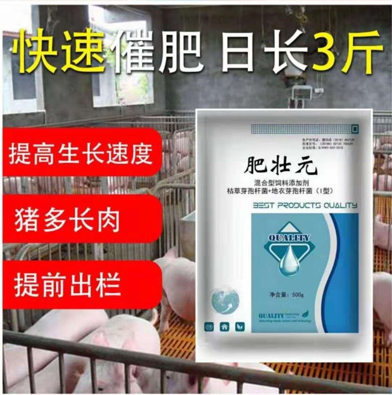 肥壮元～增肥增重调理肠胃预防拉稀提前出栏拉大骨骼猪催肥