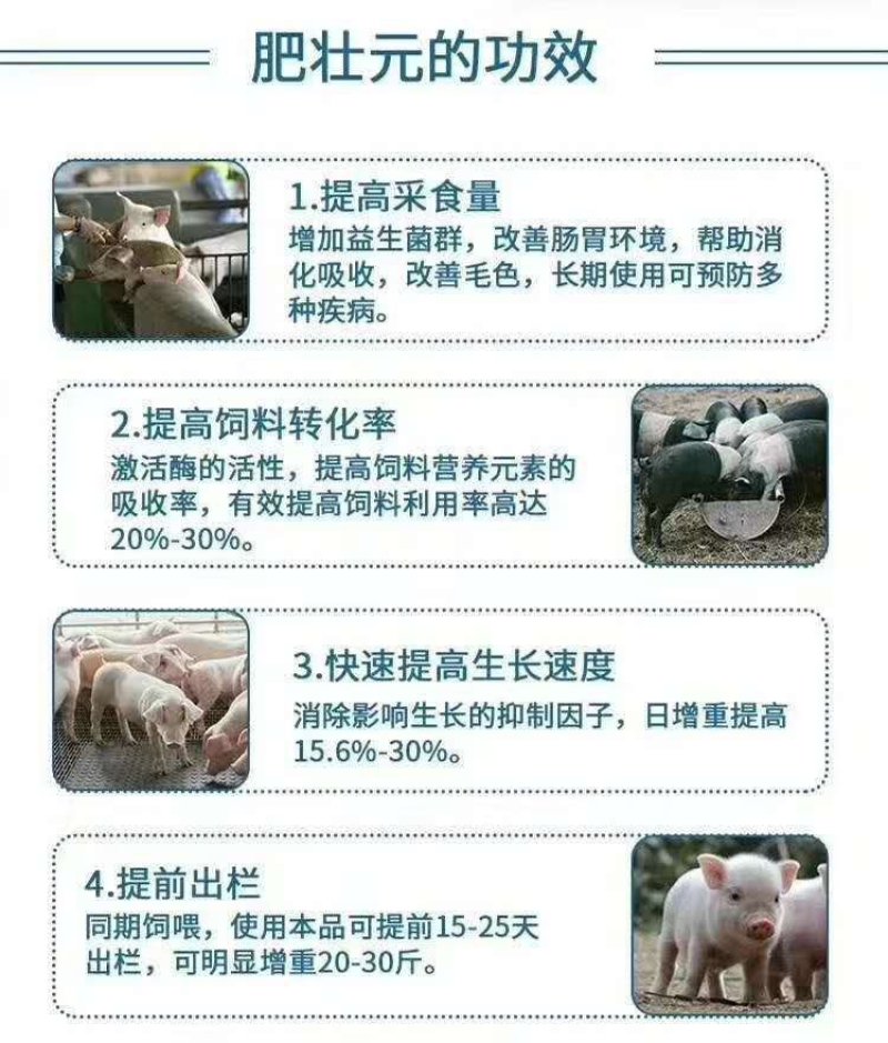 肥壮元～增肥增重调理肠胃预防拉稀提前出栏拉大骨骼猪催肥