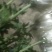 产地直销