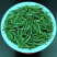 富硒鹤峰香润茶叶春茶芽茶袋装多规格