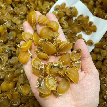 秒杀网红小鲍鱼大连