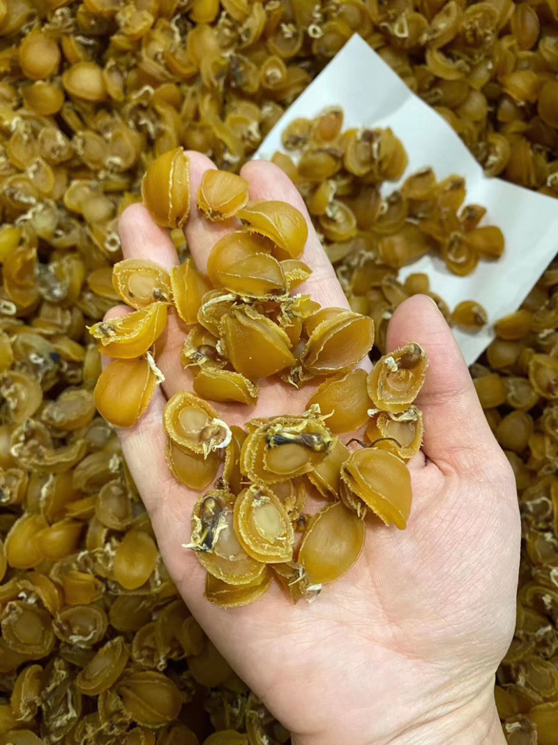秒杀网红小鲍鱼大连