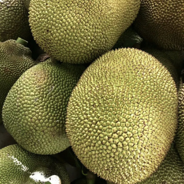 专业代办#一手货源.大量现货供应