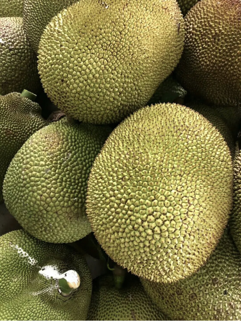 专业代办#一手货源.大量现货供应