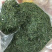 2020特级恩施玉露绿茶茶叶恩施特产高山云雾茶