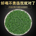2020年新茶恩施富硒玉露绿茶高山浓香型耐泡茶叶