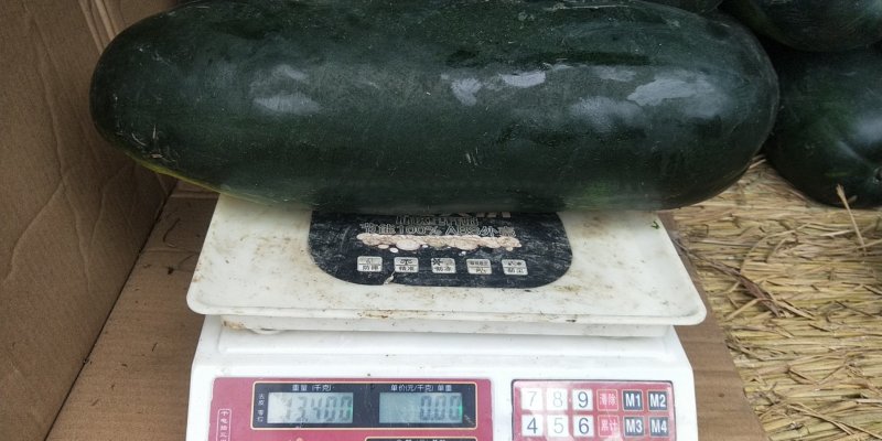 瓜果蔬菜，诚信代购代卖