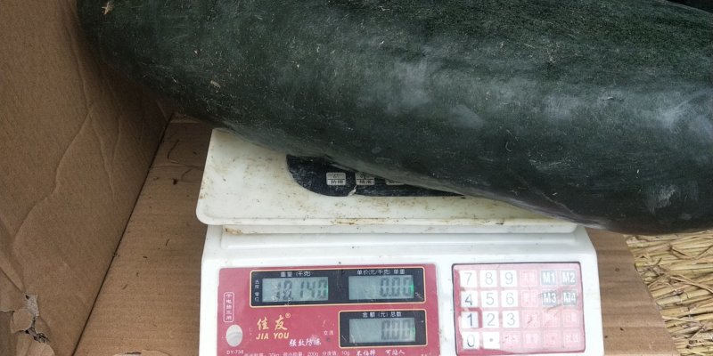 瓜果蔬菜，诚信代购代卖