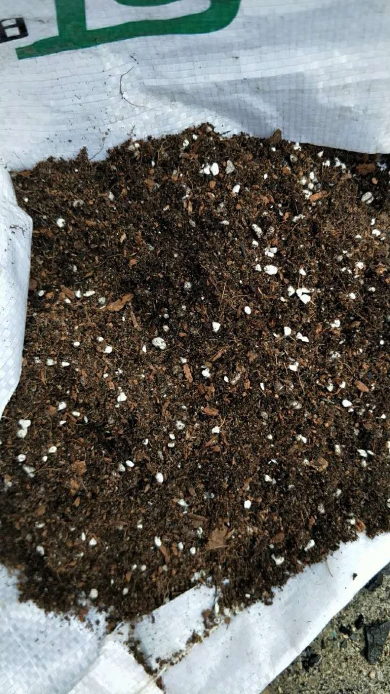 鲁沃育苗基质有有机活性菌开启基质4.0时