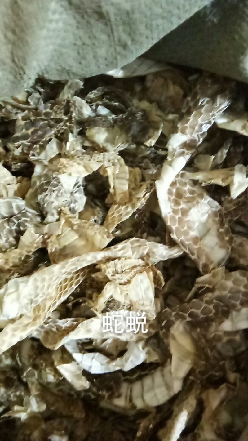 蛇蜕蛇皮龙衣蛇退蛇衣长虫皮各种中药材