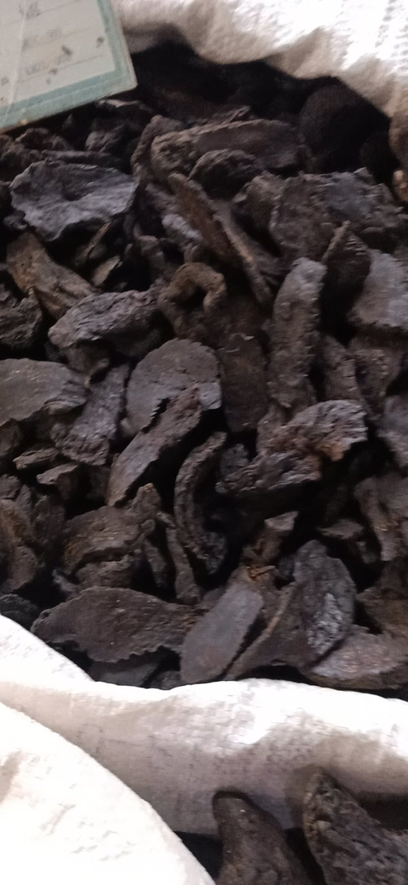 肉苁蓉！大芸大货批发！含量高！一手货源、价格优