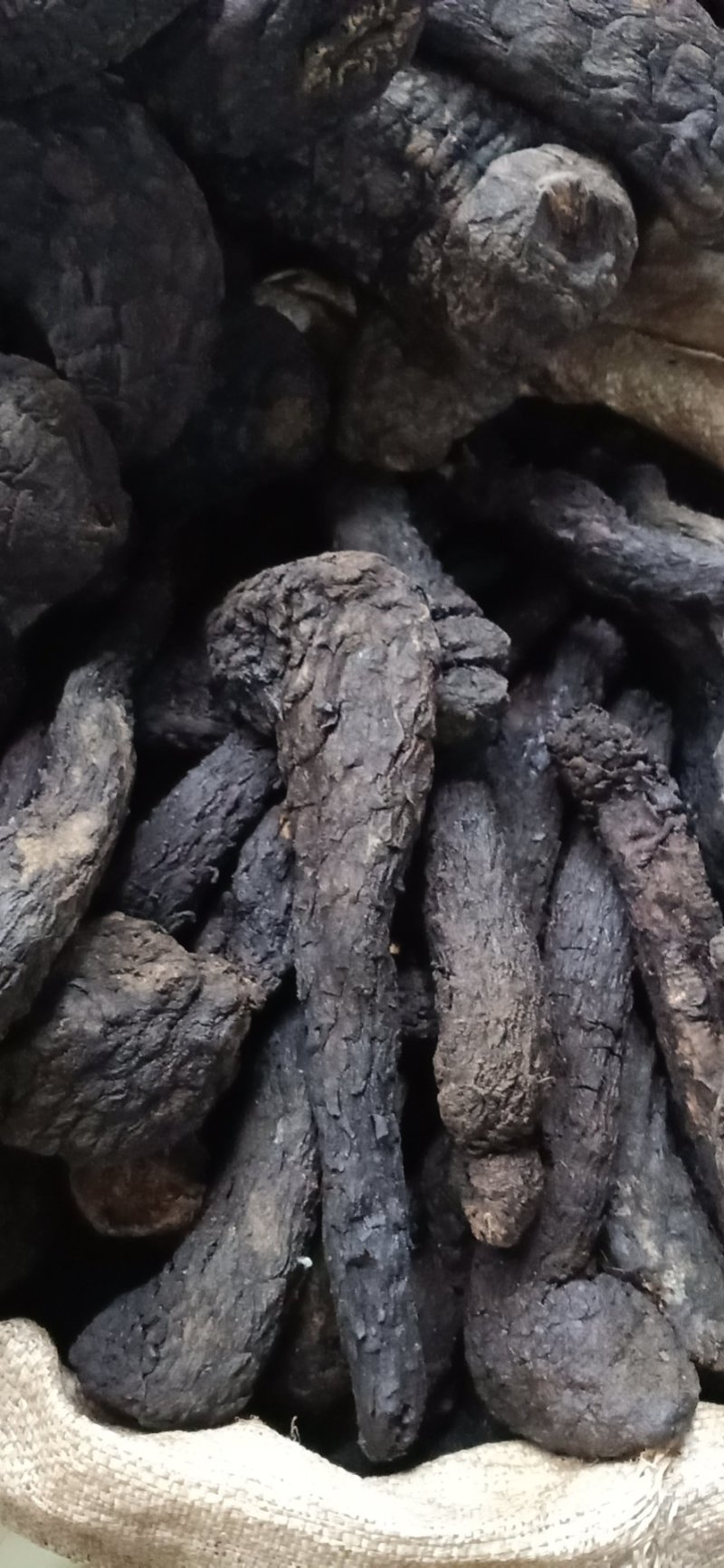 肉苁蓉！大芸大货批发！含量高！一手货源、价格优