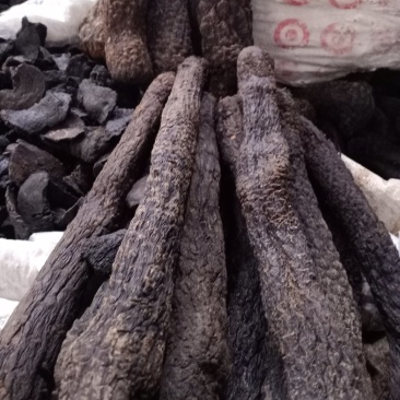 肉苁蓉！大芸大货批发！含量高！一手货源、价格优