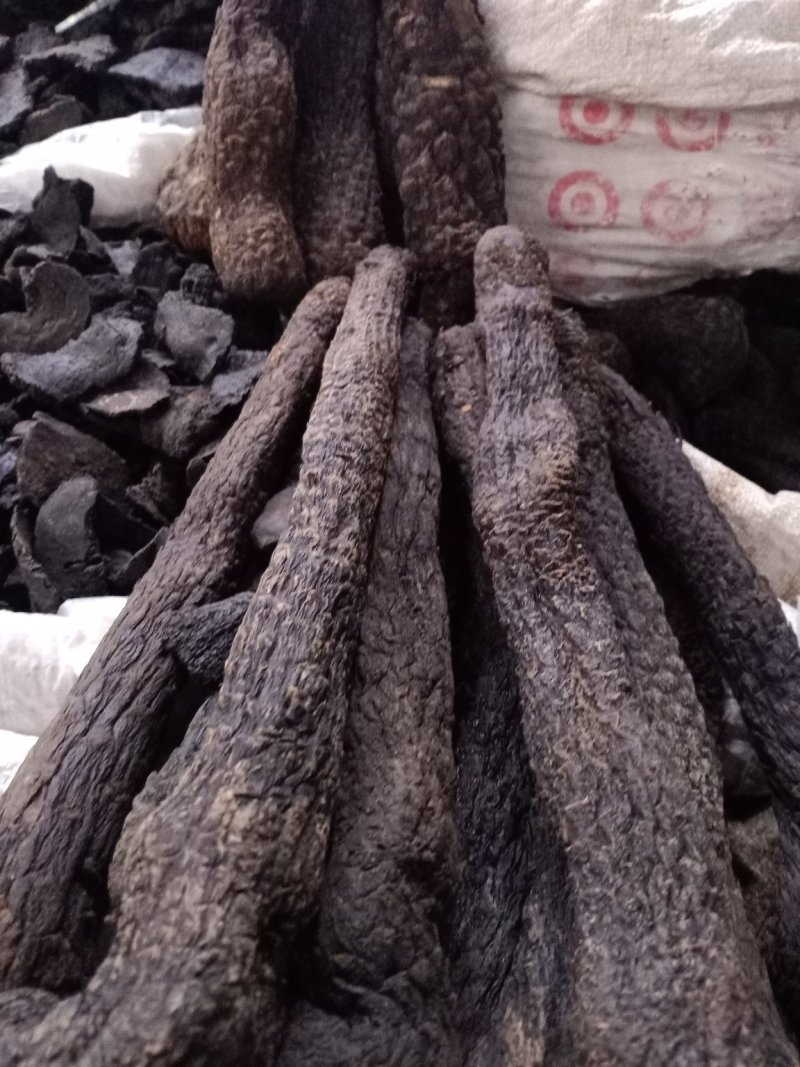 肉苁蓉！大芸大货批发！含量高！一手货源、价格优