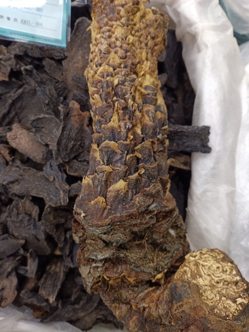 肉苁蓉！大芸大货批发！含量高！一手货源、价格优