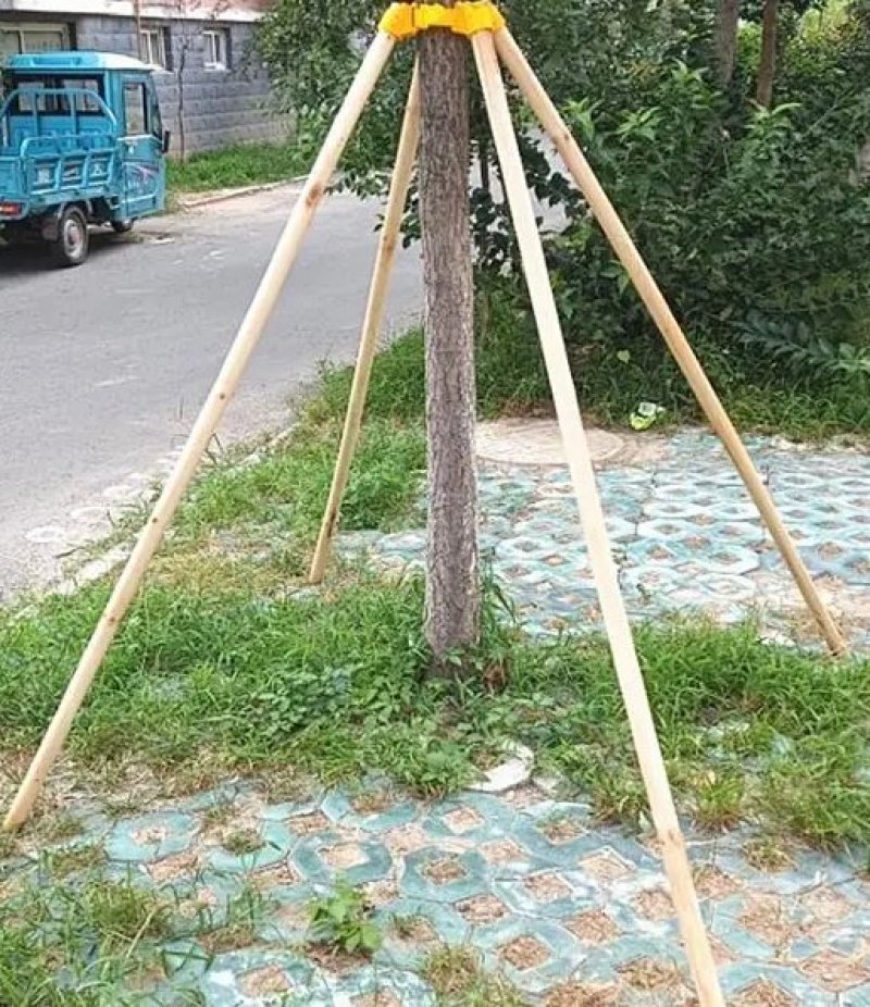 【欢迎来电咨询】绿化用品，套杯固定器，原厂家直销