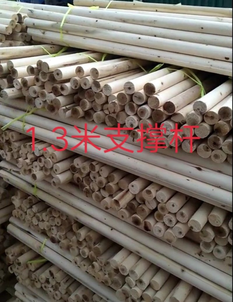 【欢迎来电咨询】绿化用品，套杯固定器，原厂家直销