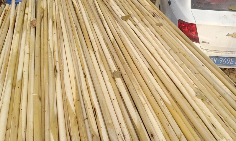 【欢迎来电咨询】绿化用品，套杯固定器，原厂家直销