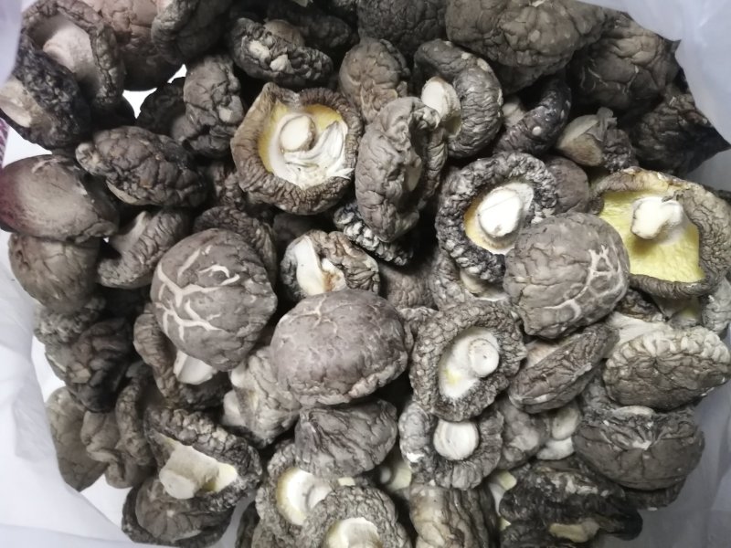 河南省南阳市西峡老界岭铭源香菇产地直销，物美价廉
