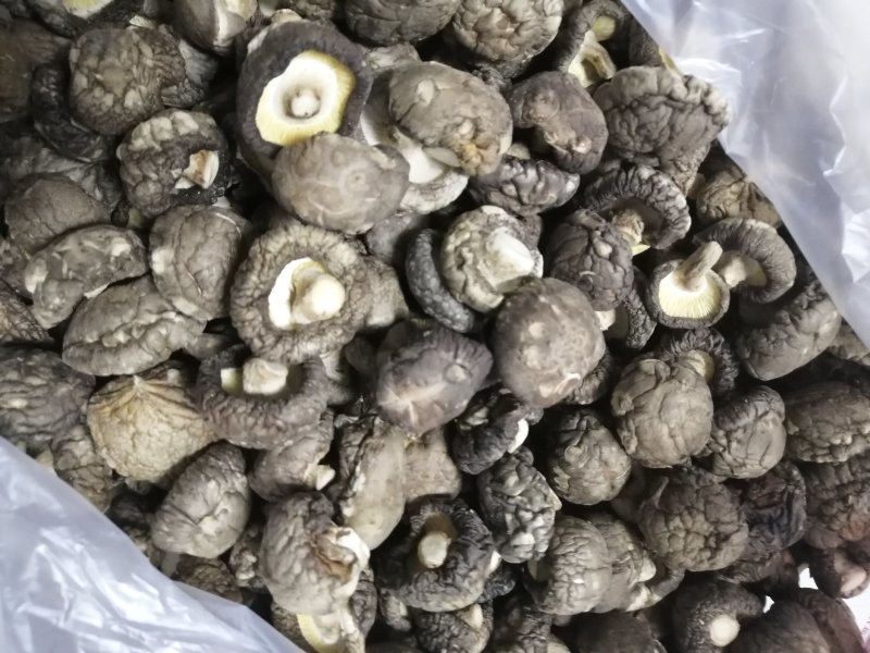河南省南阳市西峡老界岭铭源香菇产地直销，物美价廉