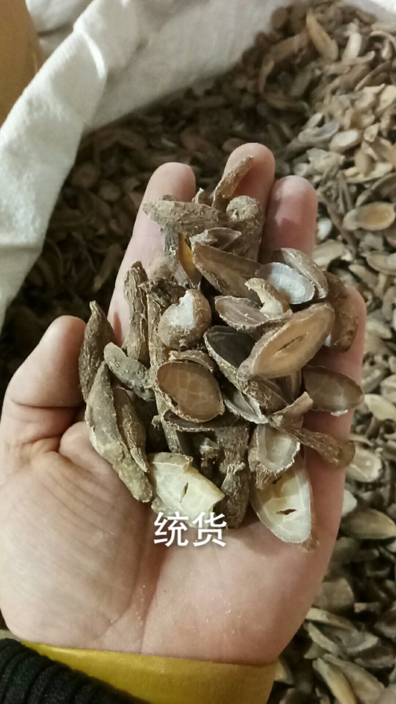郁金郁金片郁金各种中药材一公斤起批