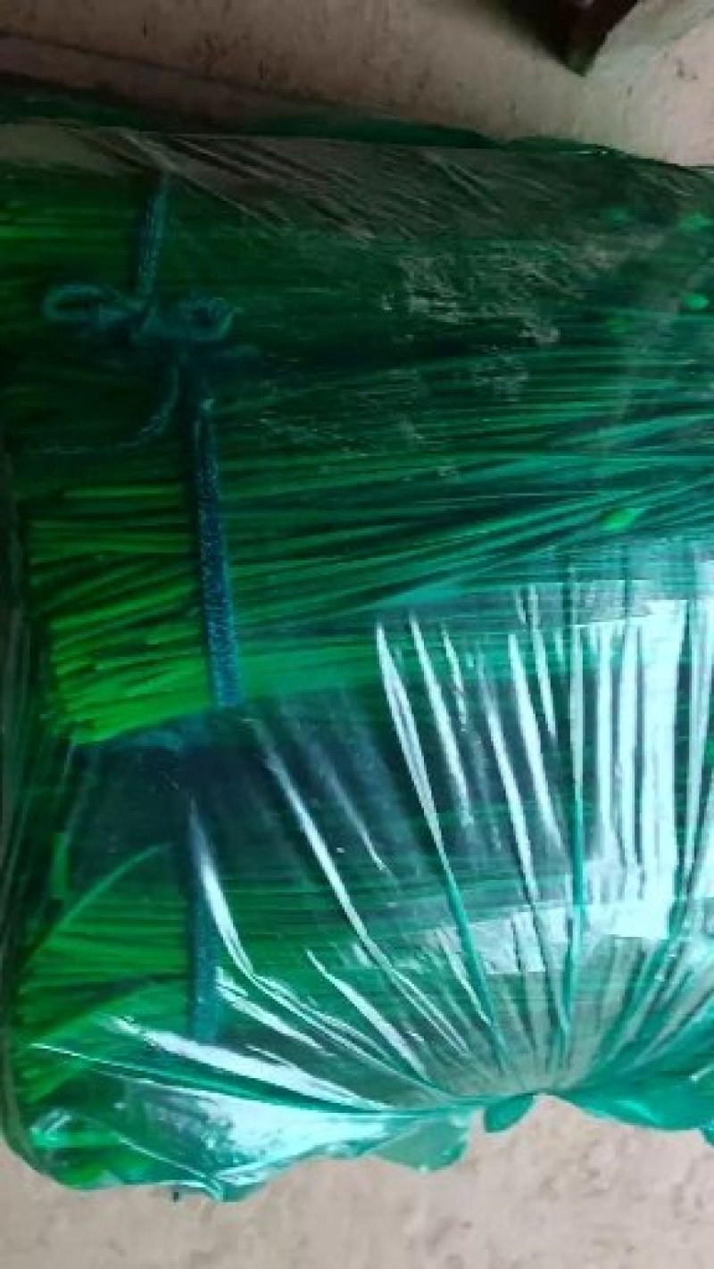 精品韭苔蒜苔