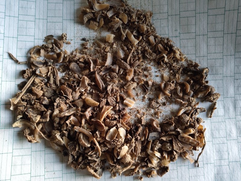 郁金碎渣沫不含邮费批发零售诚信经营量大从优