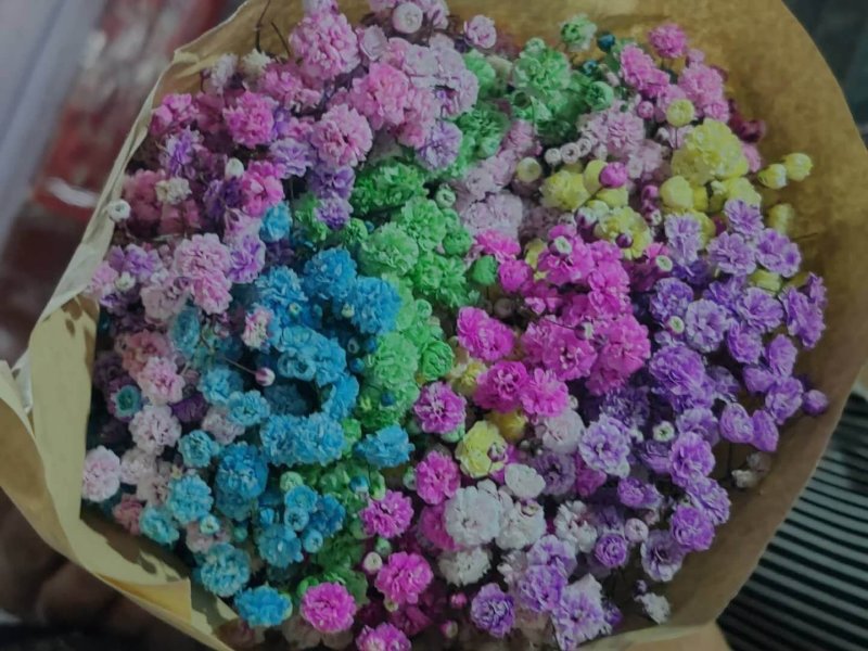 康乃馨多头康勿忘我彩色满天星情人草水晶花