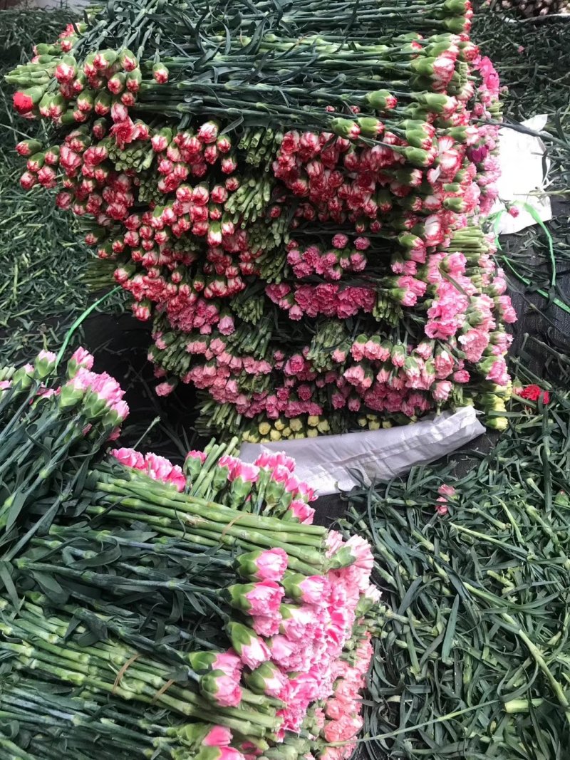 康乃馨多头康勿忘我彩色满天星情人草水晶花