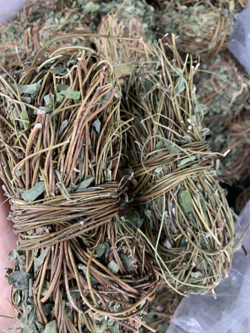 鸡骨草微商电商实体淘货源专业保密一件代发