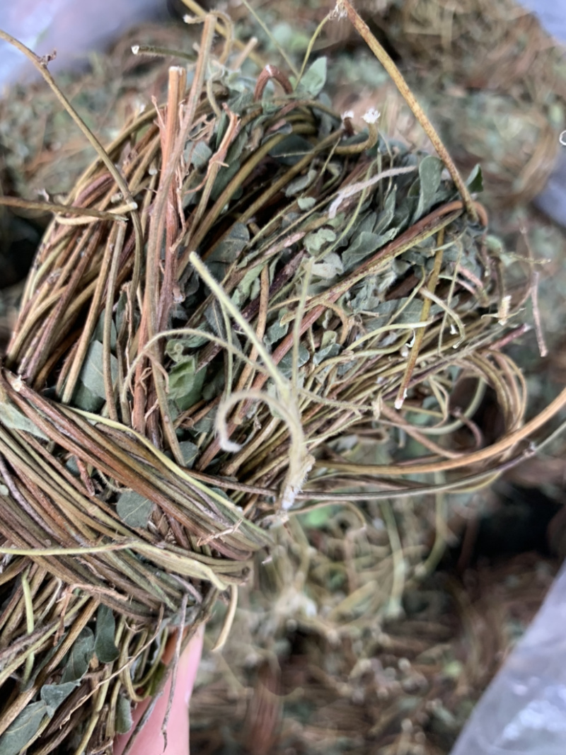 鸡骨草微商电商实体淘货源专业保密一件代发
