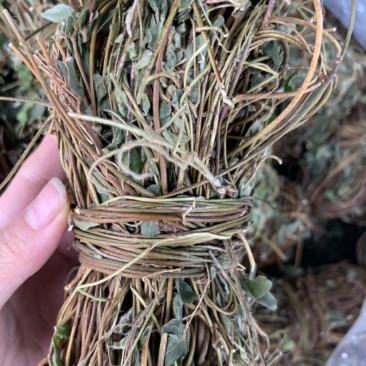 鸡骨草微商电商实体淘货源专业保密一件代发