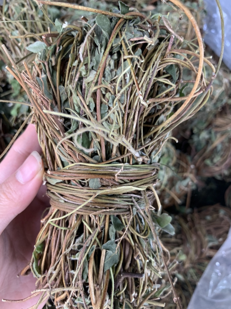 鸡骨草微商电商实体淘货源专业保密一件代发