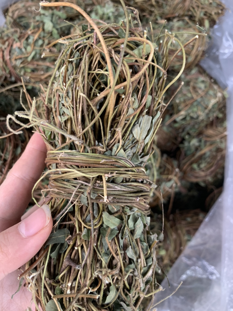 鸡骨草微商电商实体淘货源专业保密一件代发