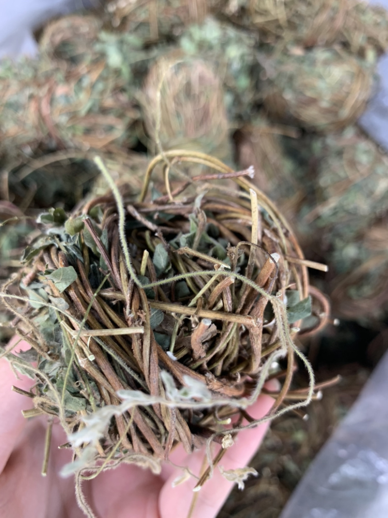 鸡骨草微商电商实体淘货源专业保密一件代发