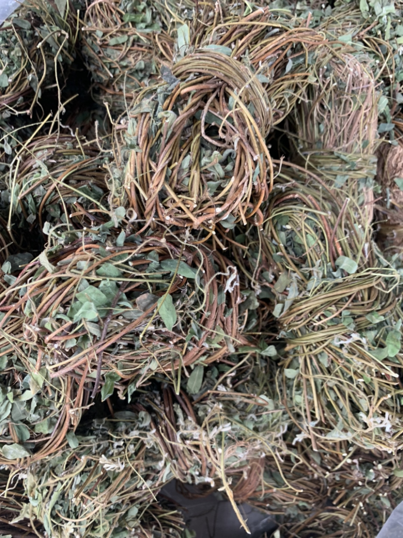 鸡骨草微商电商实体淘货源专业保密一件代发