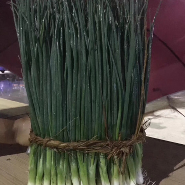 徐闻香葱