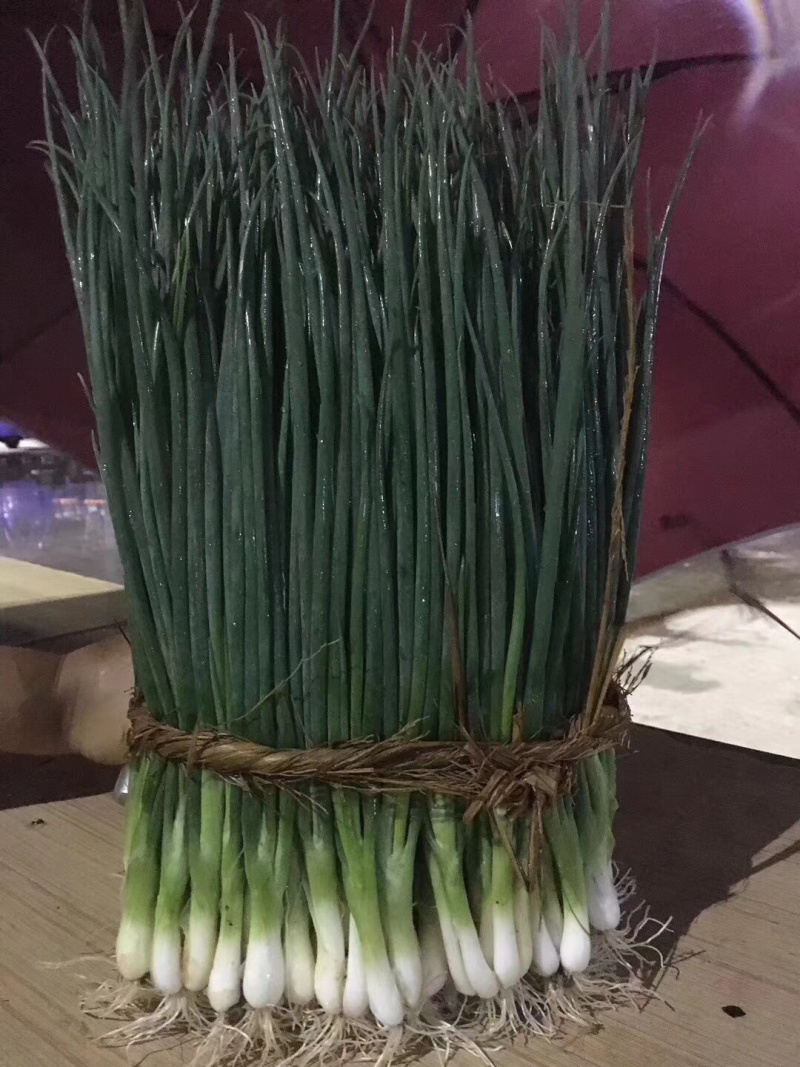 徐闻香葱
