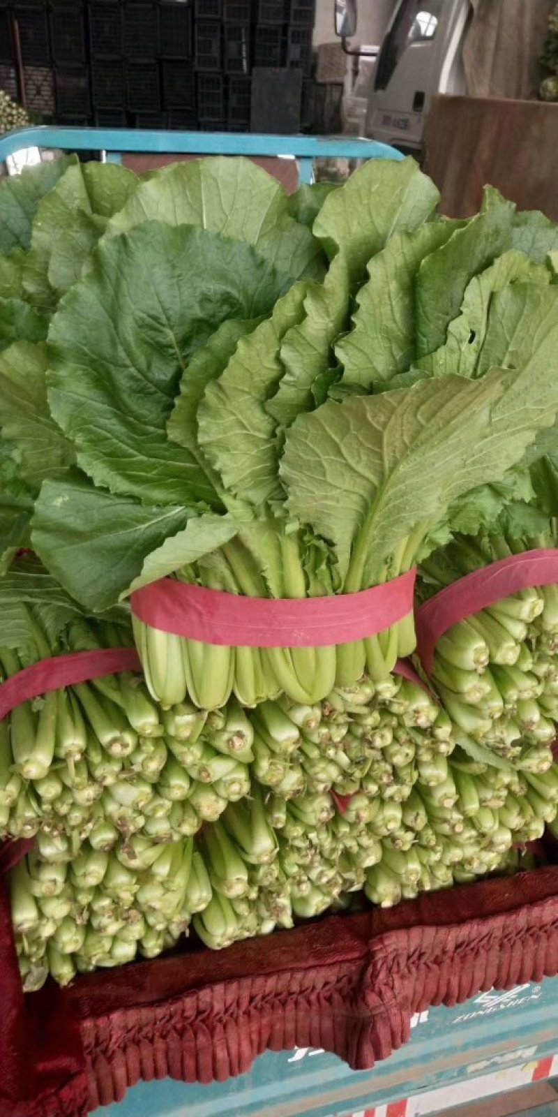 河北小白菜，大量上市，价格便宜，可以视频看货