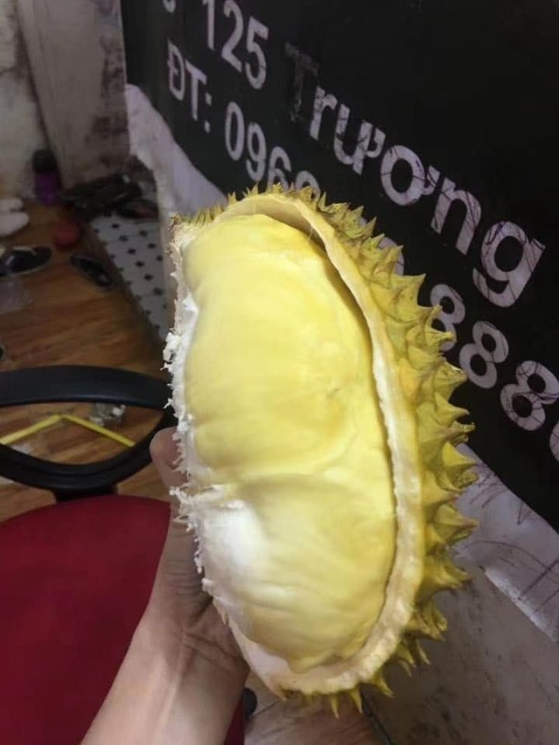 泰国金枕A货一件包邮代发