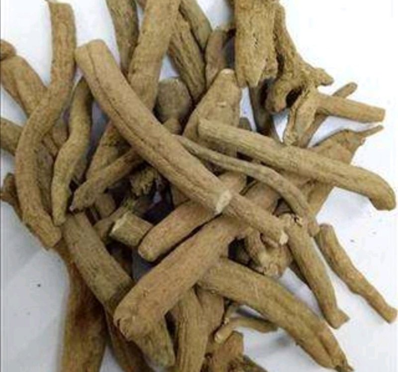 紫金龙，道地药材，质优价实，品质保证，药典标准一公斤起批