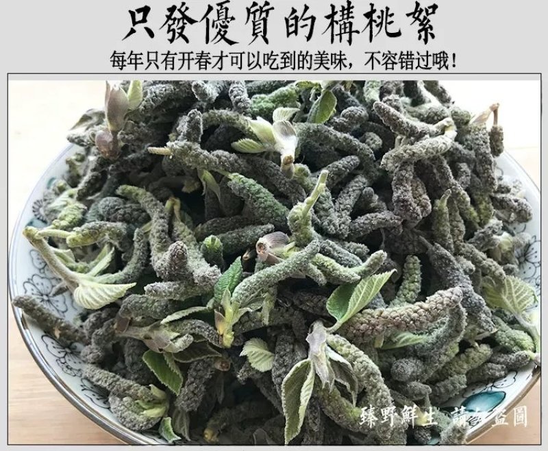 河南野生新鲜构树穗构树花构蒲穗构棒楮树穗