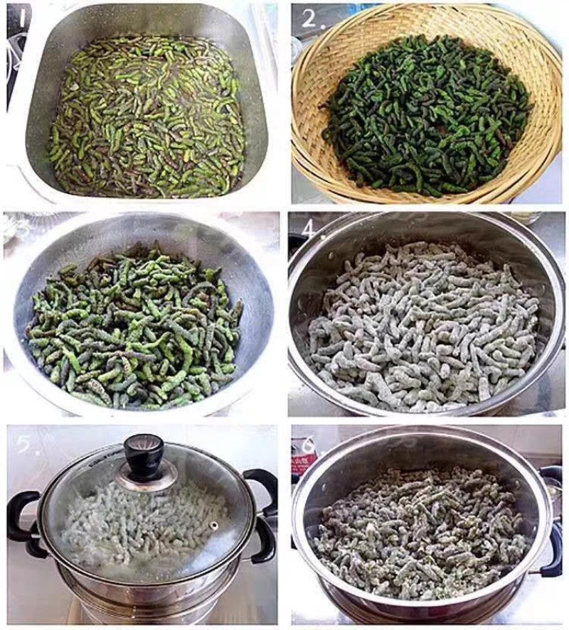 河南野生新鲜构树穗构树花构蒲穗构棒楮树穗