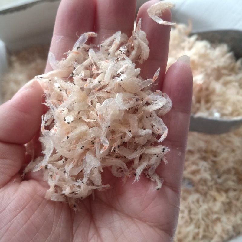 051号虾皮干度好盐分低价格好