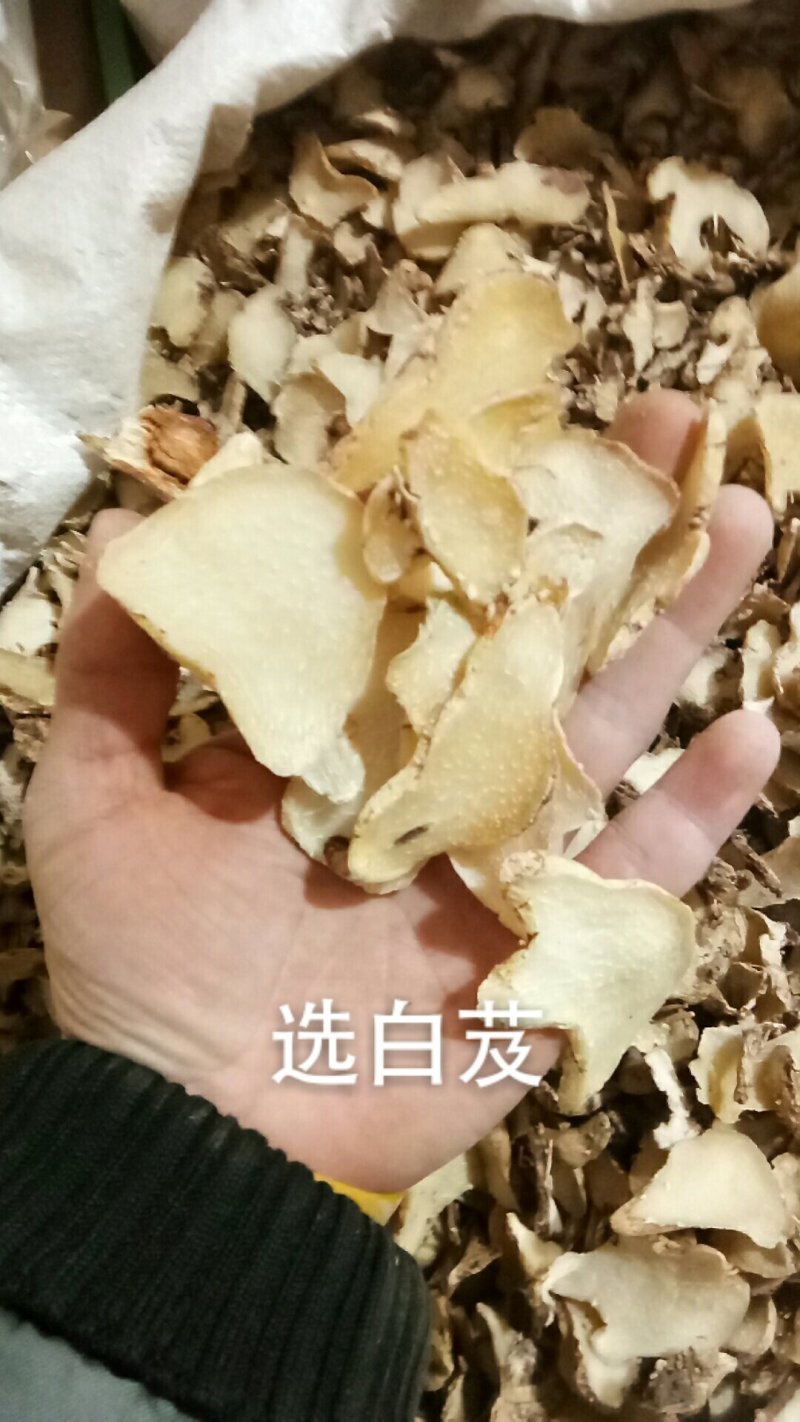 白芨白芨片白及片三叉白芨片中药材