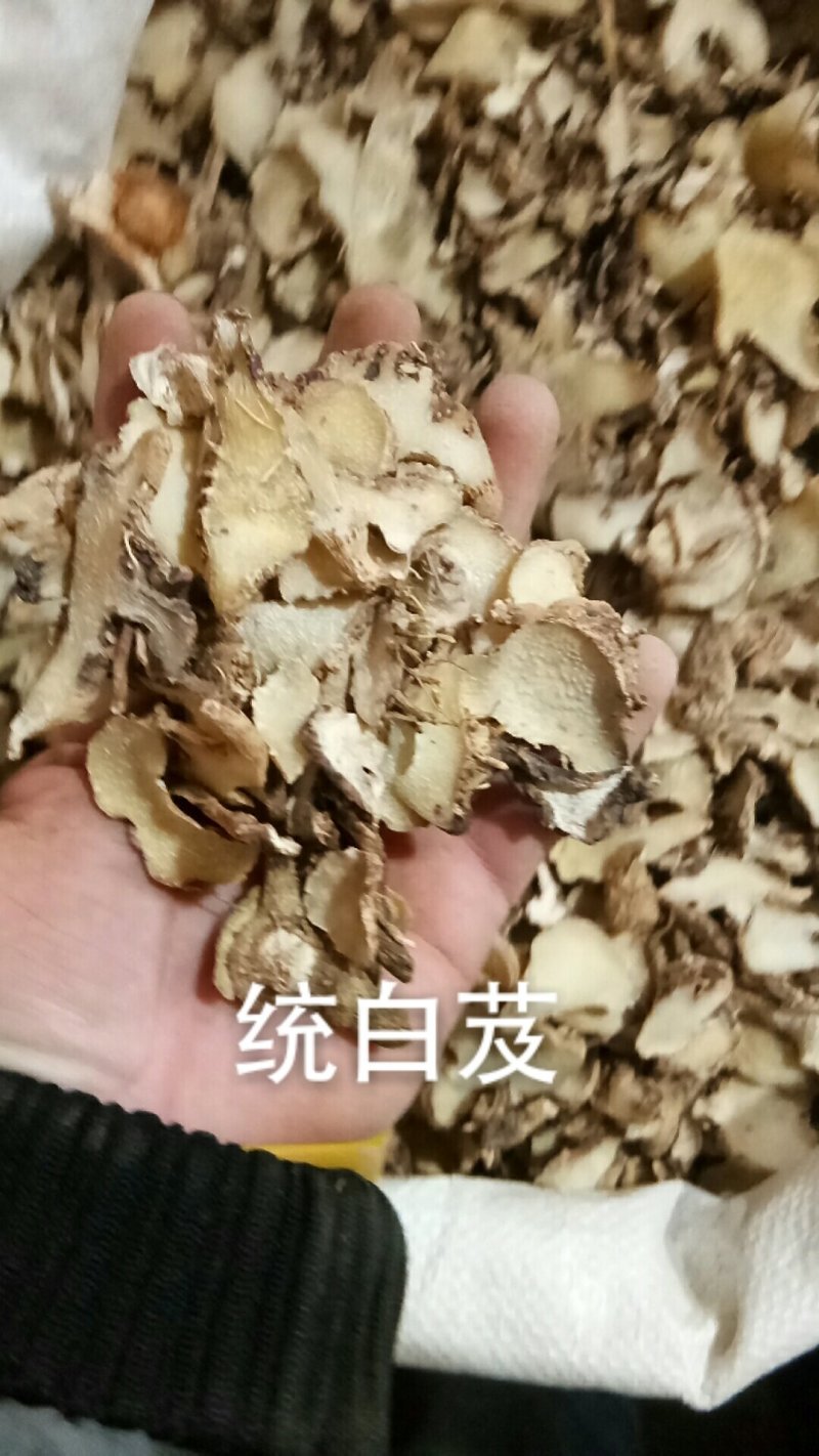 白芨白芨片白及片三叉白芨片中药材