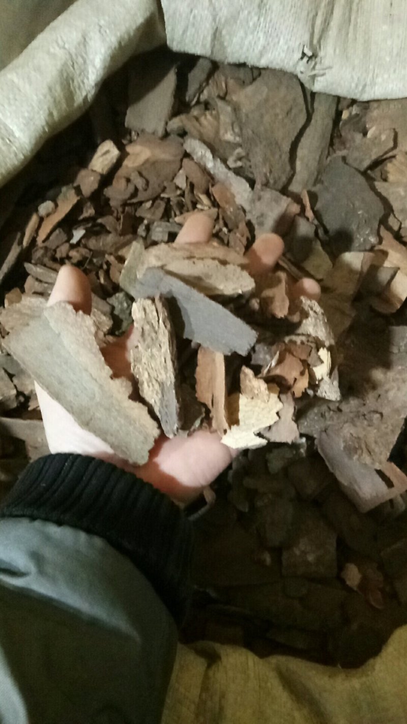 追地风地枫皮地枫皮钻地风各种中药材